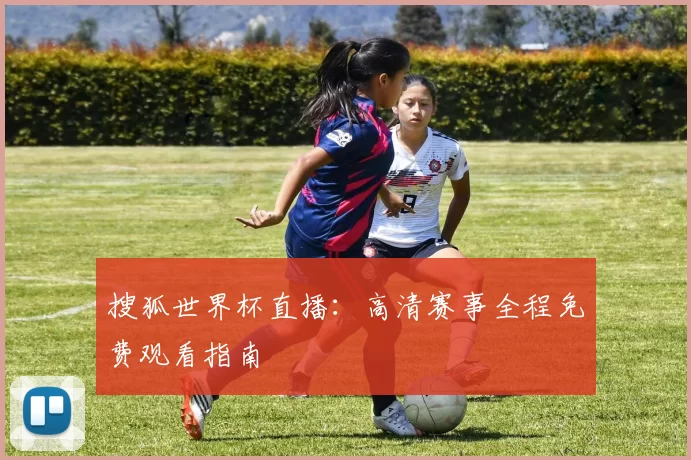 搜狐世界杯直播:高清赛事全程免费观看指南