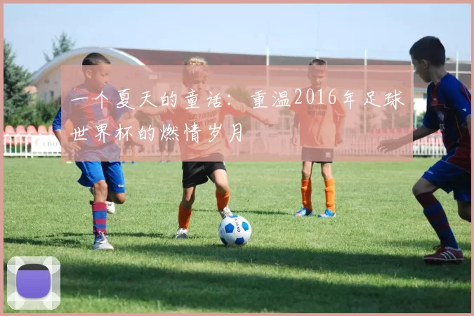 一个夏天的童话:重温2016年足球世界杯的燃情岁月