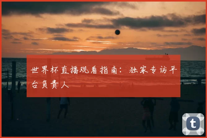 世界杯直播观看指南:独家专访平台负责人