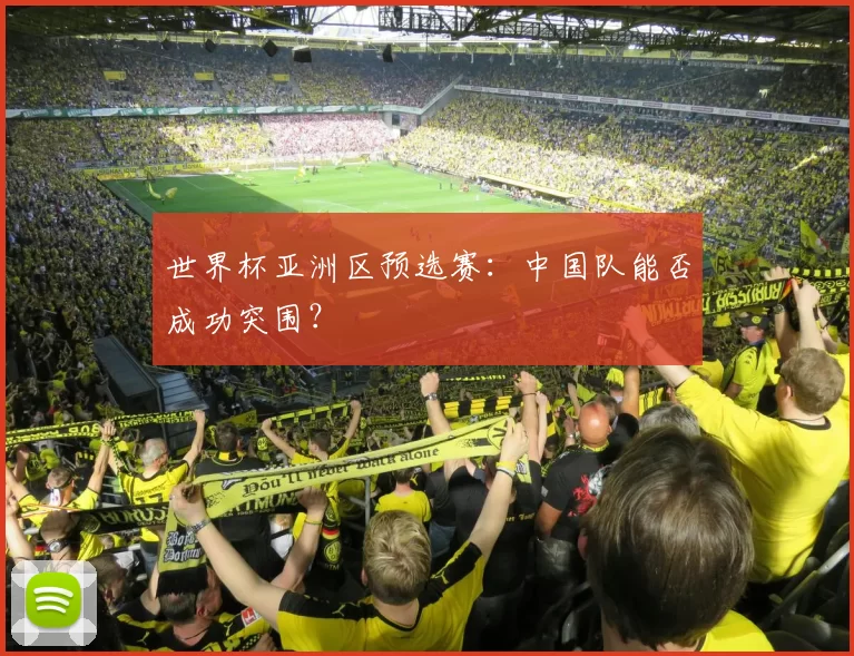 世界杯亚洲区预选赛：中国队能否成功突围？