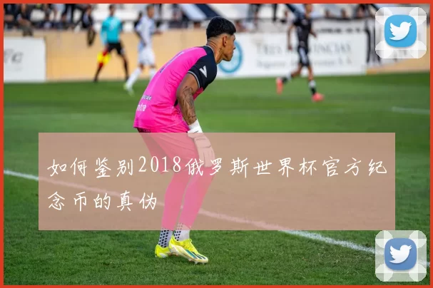 如何鉴别2018俄罗斯世界杯官方纪念币的真伪