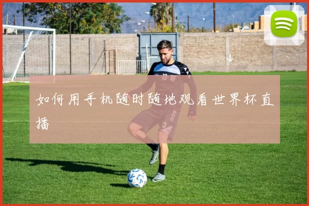 如何用手机随时随地观看世界杯直播